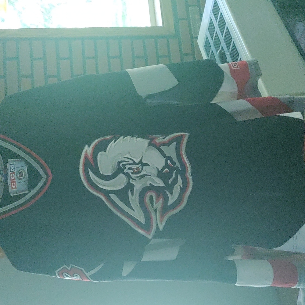 Buffalo sabres goat head jersey